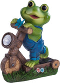 Cycling frog solar energy decoration
