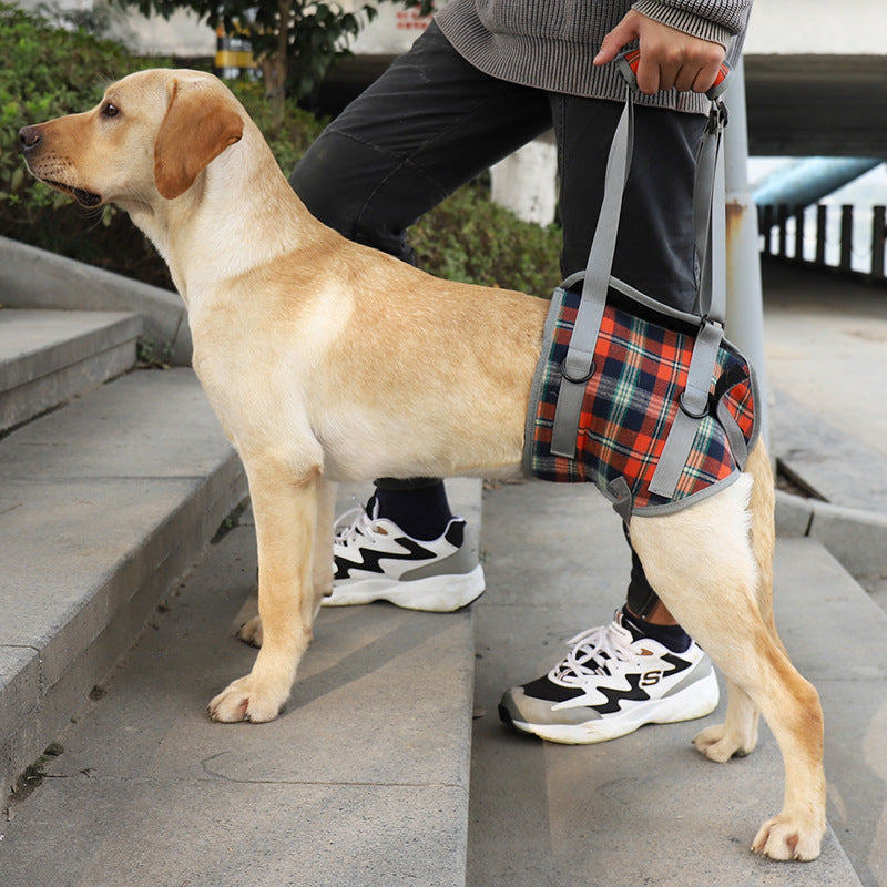 Pet Dog Leg Support Harness for Post-Surgery Recovery, Elderly Dogs, Large Breed Walking Assistance Brace