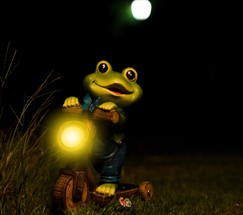 Cycling frog solar energy decoration